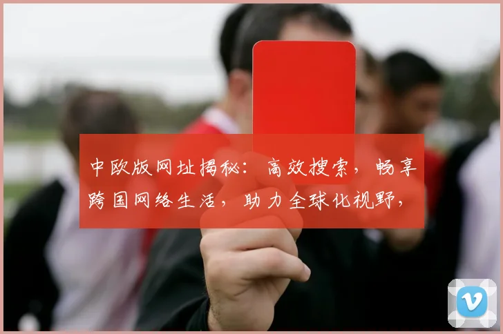 中欧版网址揭秘：高效搜索，畅享跨国网络生活，助力全球化视野，便捷两步直达