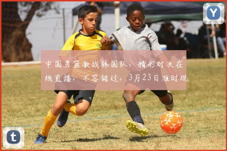 中国男篮激战韩国队，精彩对决在线直播，不容错过，3月23日准时观看