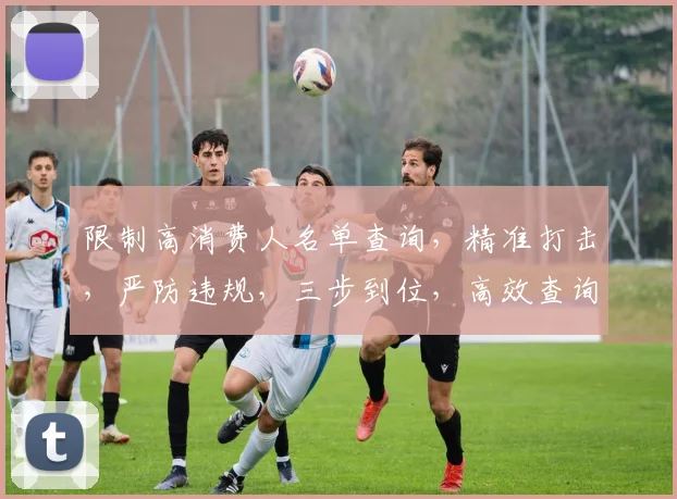 限制高消费人名单查询，精准打击，严防违规，三步到位，高效查询。