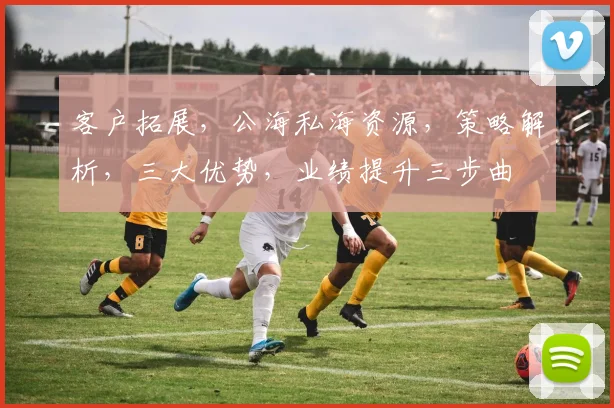客户拓展，公海私海资源，策略解析，三大优势，业绩提升三步曲